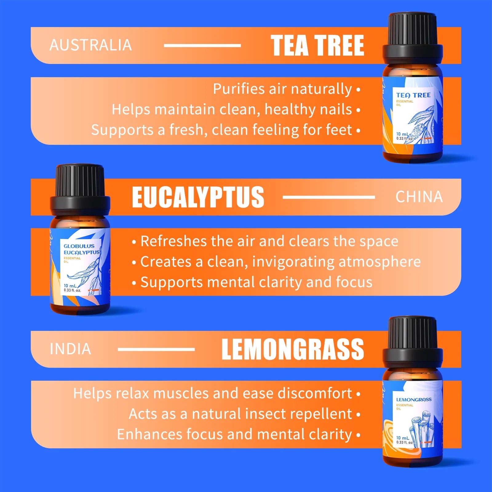 The Ultimate Travel Wellness Kit: 6 Scents to Transform Any Journey